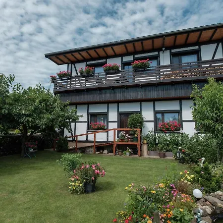 Cozy In Oesig Near Ski Area *