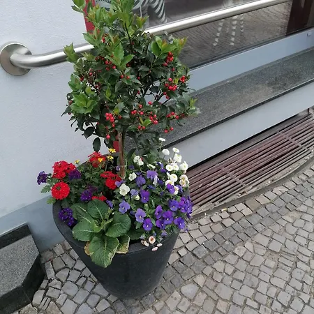 Apartman An Der Bode *